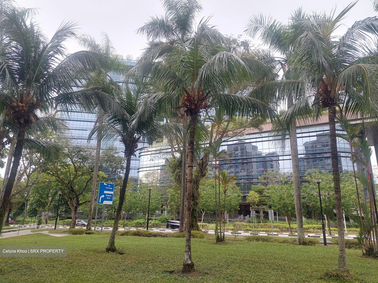 Blk 361 Woodlands Avenue 5 (Woodlands), HDB Executive #534064141